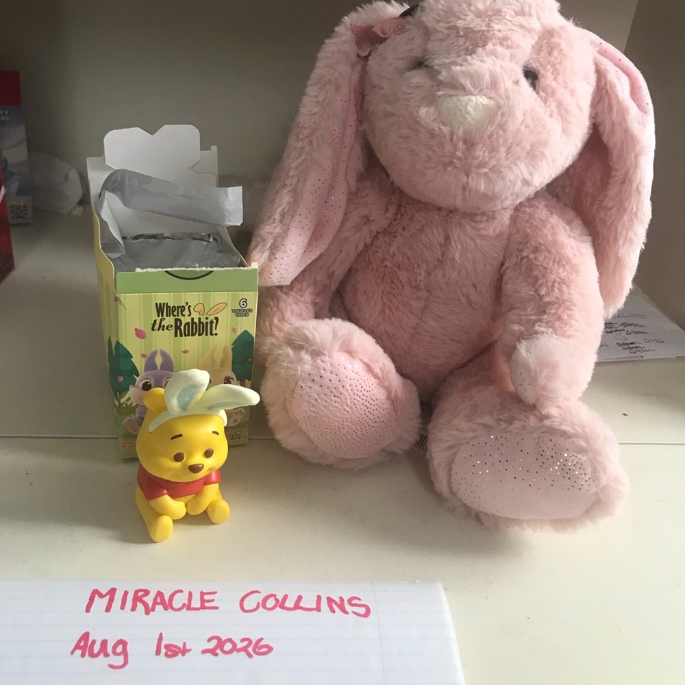 Plush Pink Bunny Stuffed Animal and Miniso Pooh